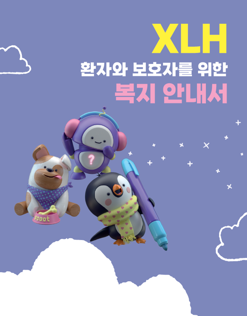 2025 희귀질환 복지 안내서